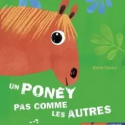Un Poney pas comme les autres - Anne Vasko