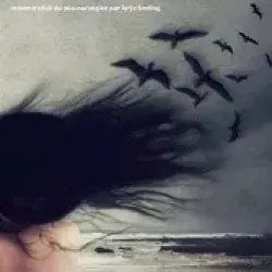 Le Tribunal des oiseaux - Agnes Ravatn