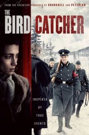 The Bird catcher - Ross Clarke